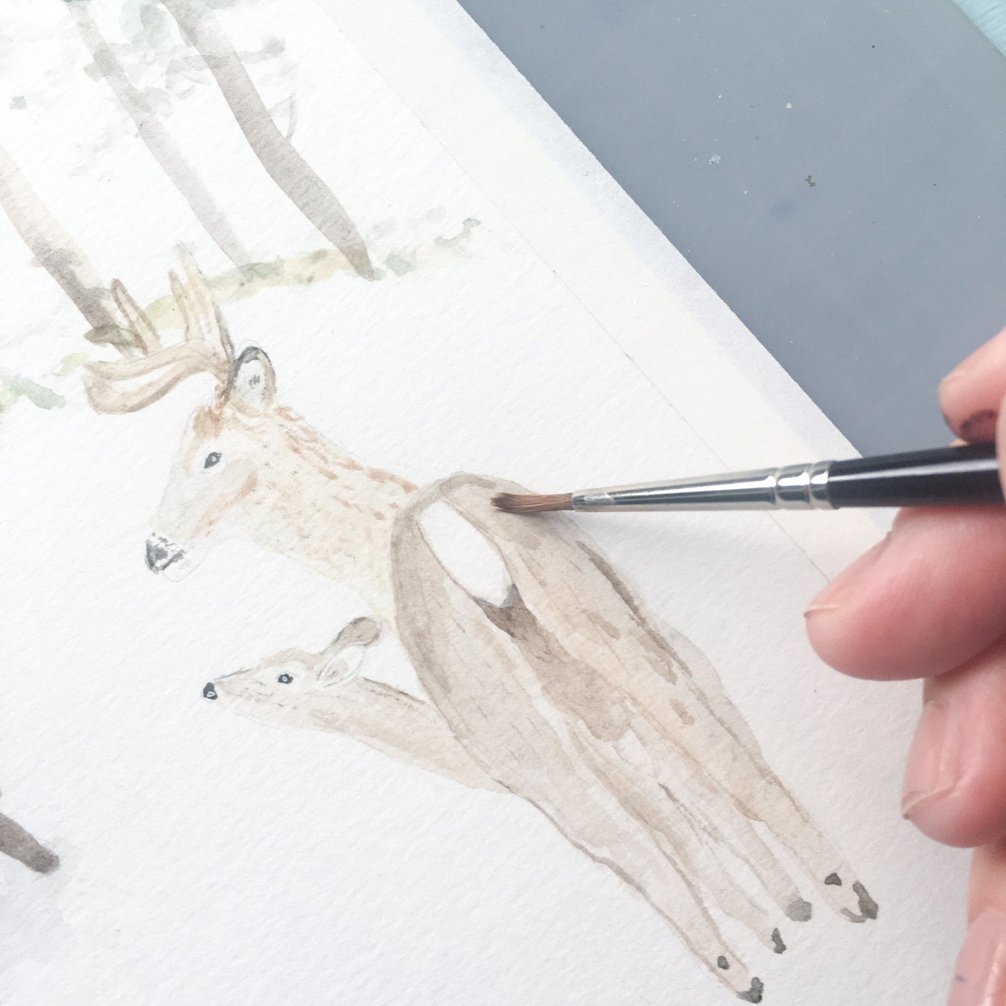 Forest Animals with Manger Watercolor Art Print